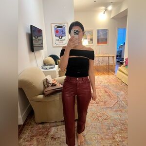 Aritzia leather pants